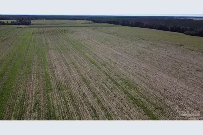 5600 Block Hwy 97, Walnut Hill, FL 32568 - Photo 9
