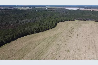 5600 Block Hwy 97, Walnut Hill, FL 32568 - Photo 13