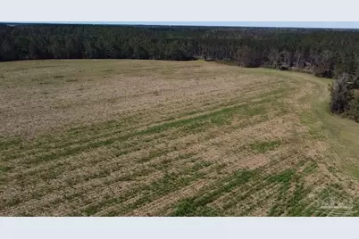 5600 Block Hwy 97, Walnut Hill, FL 32568 - Photo 3