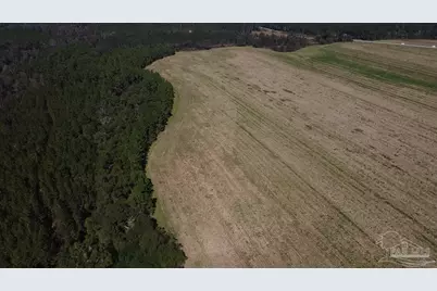 5600 Block Hwy 97, Walnut Hill, FL 32568 - Photo 17