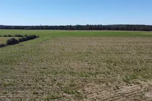 5600 Block Hwy 97, Walnut Hill, FL 32568 - Photo 1