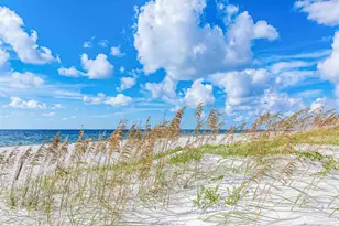 14580 Perdido Key Dr, Perdido Key, FL 32507 - Photo 17