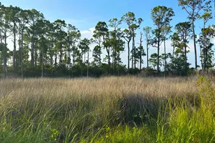 16300 Innerarity Point Rd, Pensacola, FL 32507 - Photo 53