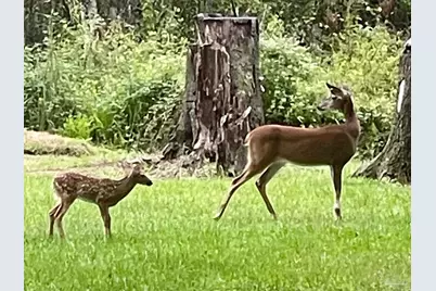 3372 Childers St, Milton, FL 32583 - Photo 1