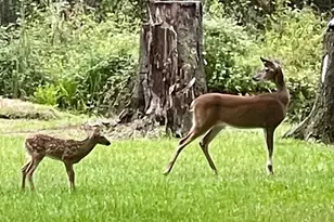 3372 Childers St, Milton, FL 32583 - Photo 1