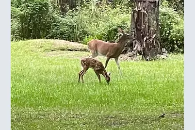 3372 Childers St, Milton, FL 32583 - Photo 25