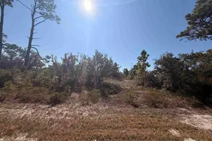 13000 Gongora Dr, Perdido Key, FL 32507 - Photo 1