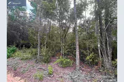 0000 Bailly Rd, Milton, FL 32570 - Photo 1