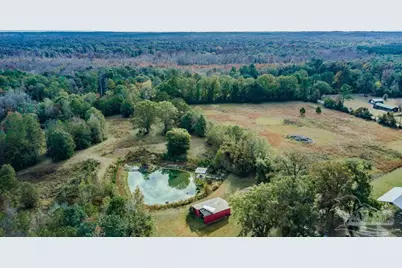 296 Salters Lake Rd, Century, FL 32535 - Photo 9