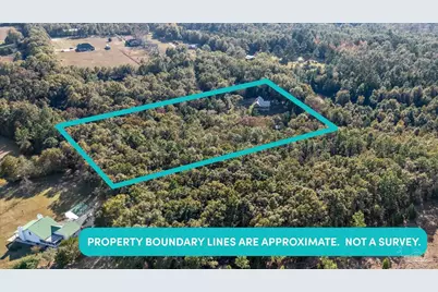 4394 Crabtree Church Rd, Molino, FL 32577 - Photo 59