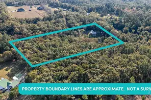 4394 Crabtree Church Rd, Molino, FL 32577 - Photo 59