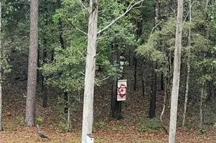 4394 Crabtree Church Rd, Molino, FL 32577 - Photo 63