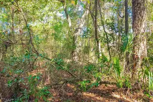 6598 Dewrell Square, Pensacola, FL 32504 - Photo 15