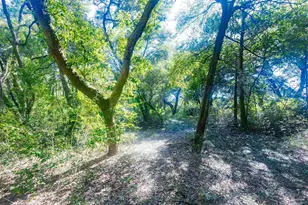 6598 Dewrell Square, Pensacola, FL 32504 - Photo 51