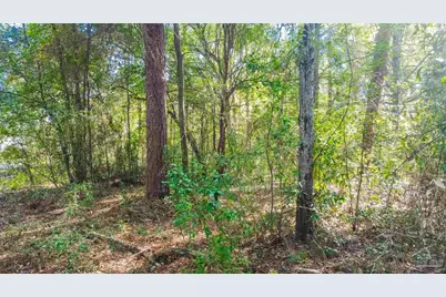 6598 Dewrell Sq, Pensacola, FL 32504 - Photo 17