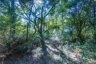 6598 Dewrell Square, Pensacola, FL 32504 - Photo 49