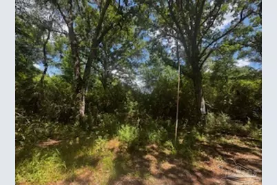 1329 Beaver Dam Ln, Bonifay, FL 32425 - Photo 7