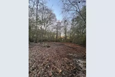 1329 Beaver Dam Ln, Bonifay, FL 32425 - Photo 3