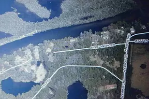 7784 River Rd, Milton, FL 32583 - Photo 15