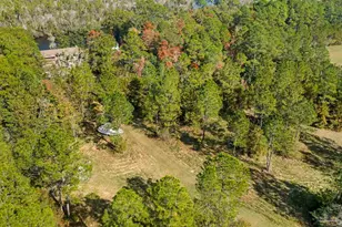 7784 River Rd, Milton, FL 32583 - Photo 17