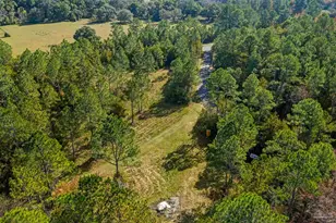 7784 River Rd, Milton, FL 32583 - Photo 13