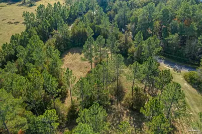 7784 River Rd, Milton, FL 32583 - Photo 21