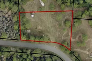 7784 River Rd, Milton, FL 32583 - Photo 7