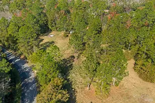 7784 River Rd, Milton, FL 32583 - Photo 7