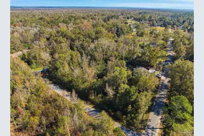 1100 McKinnonville Rd, Molino, FL 32577 - Photo 3