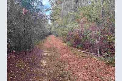 0 Ryan Rd, Crestview, FL 32539 - Photo 1