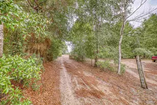 10246 Nichols Lake Rd, Milton, FL 32583 - Photo 3