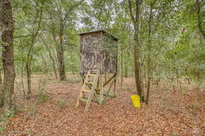 10246 Nichols Lake Rd, Milton, FL 32583 - Photo 27