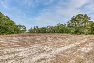 10246 Nichols Lake Rd, Milton, FL 32583 - Photo 35