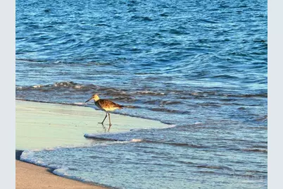 1 Portofino Dr #PH3, Pensacola Beach, FL 32561 - Photo 45