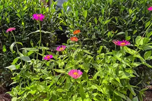 7305 Farmers Rd, Pensacola, FL 32526 - Photo 45