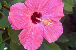 7305 Farmers Rd, Pensacola, FL 32526 - Photo 43