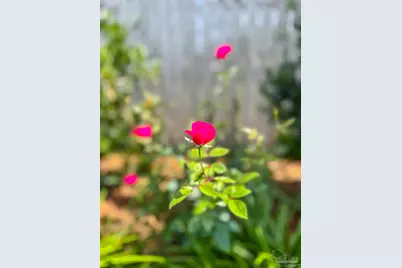 7305 Farmers Rd, Pensacola, FL 32526 - Photo 39