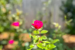 7305 Farmers Rd, Pensacola, FL 32526 - Photo 39