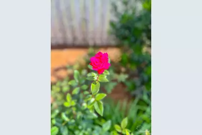 7305 Farmers Rd, Pensacola, FL 32526 - Photo 47