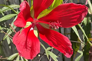 7305 Farmers Rd, Pensacola, FL 32526 - Photo 41