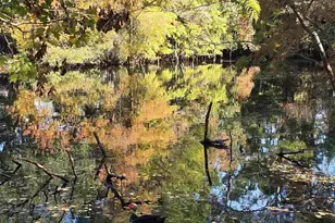 7221 Lago Vista Ct, Pensacola, FL 32506 - Photo 23