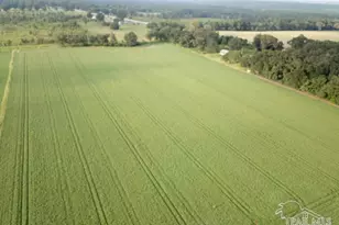 8+ Acres N Hwy 87, Milton, FL 32570 - Photo 1