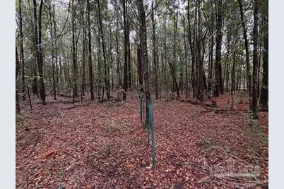 3218 Archies Way, Pace, FL 32571 - Photo 3