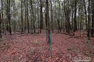 3218 Archies Way, Pace, FL 32571 - Photo 3