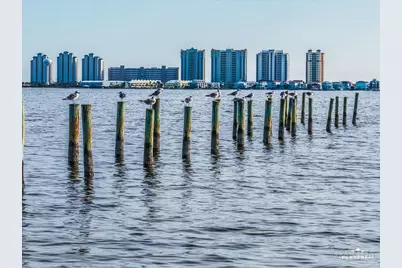 1810 Sea Pines Ln, Navarre, FL 32566 - Photo 63