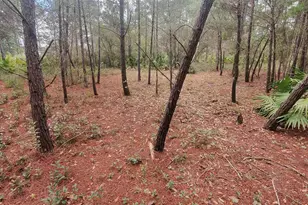 8781 Olivera St, Navarre, FL 32566 - Photo 1