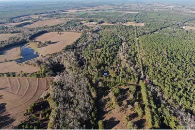 205 Varnum Rd, Laurel Hill, FL 32567 - Photo 13