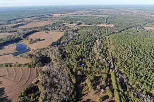 205 Varnum Rd, Laurel Hill, FL 32567 - Photo 13