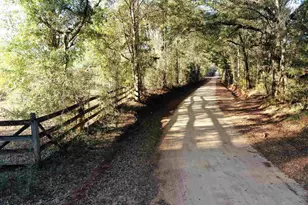 205 Varnum Rd, Laurel Hill, FL 32567 - Photo 23