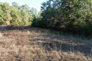 205 Varnum Rd, Laurel Hill, FL 32567 - Photo 21